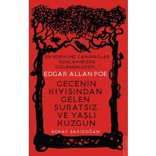 Destek Yayınları Edgar Allan Poe / Gecenin Kıyısından Gelen Suratsız ve Yaşlı Kuzgun