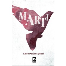 Bilgi Yayınevi Martı