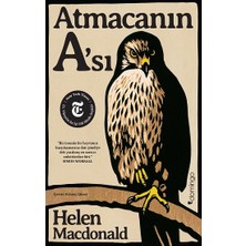 Domingo Yayınevi Atmacanın A'sı