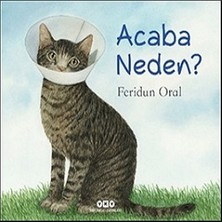Yapı Kredi Yayınları Acaba Neden?