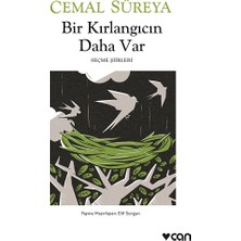 Can Yayınları Bir Kırlangıcın Daha Var