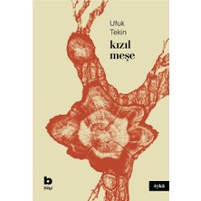 Bilgi Yayınevi Kızıl Meşe