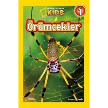 Beta Kids Örümcekler