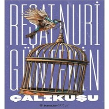 Alvera Çalıkuşu (Yeni Kapak)