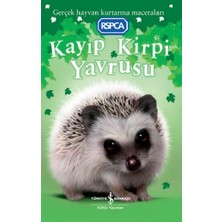 İş Bankası Kültür Yayınları Kayıp Kirpi Yavrusu