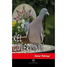 Platanus Publishing Kel Güvercinci