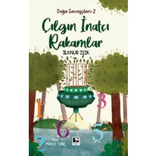 Çınaraltı Yayınları Çılgın ve Inatçı Rakamlar