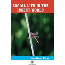 Platanus Publishing Social Life In The Insect World