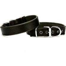 Alvera Köpek Boyun Tasma 3*55 cm Siyah