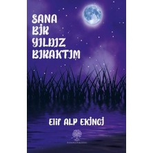 Platanus Publishing Sana Bir Yıldız Bıraktım