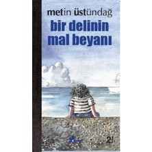 Çınar Yayınları Bir Delinin Mal Beyanı