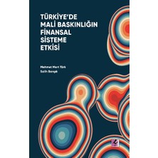Efil Yayınevi Türkiye'de Mali Baskınlığın Finansal Sisteme Etkisi