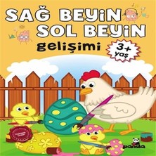 Colezium 3 Yaş Sağ Beyin-Sol Beyin Gelişimi