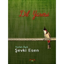 Ayata Kitap Dil Yaresi