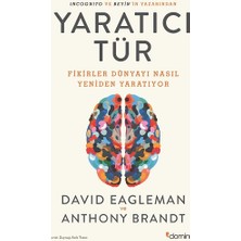 Domingo Yayınevi Yaratıcı Tür David Eagleman ve Anthony Brandt 304 Sayfa Ciltsiz Kitap