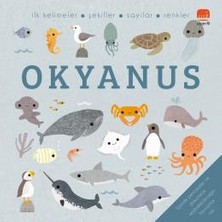 Uçan Fil Yayınları Okyanus - Say Bul Eğlen