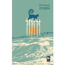 Bilgi Yayınevi Uyuşma