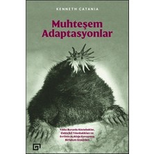 Koç Üniversitesi Yayınları Muhteşem Adaptasyonlar