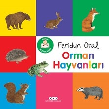 Yapı Kredi Yayınları Minik Kitaplarım – Orman Hayvanları