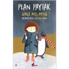 Çınar Yayınları Plan Paytak