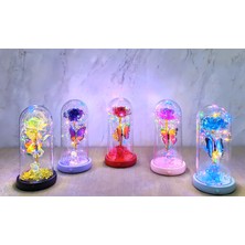 Kont Işıklı Müzikli Romantik Kelebekli Fanus Içinde Gül