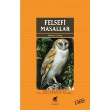 Ayrıntı Yayınları Felsefi Masallar