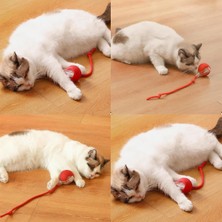 Kont Şarjlı Kedi Oyuncağı