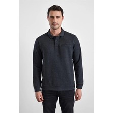 Süvari Antrasit Regular Düz Baskısız Selanik Düğmeli Polo Yaka Torba Cep Trikolu Standart Sweatshirt