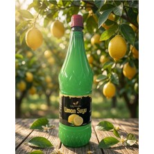 Lokmanoğlu Limon Suyu 1lx 12 Adet