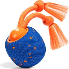 Cheerble Wicked Ball Rolly Şarjlı Interaktif Köpek Oyuncak Topu CWQ07