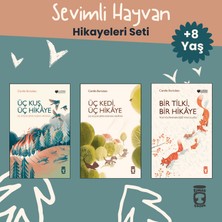 Eğlenceli Bilgi Yayınları Problemsiz Matematik Seti: Yeni Nesil Sorularla Eğlenceli Matematik 9+ Yaş