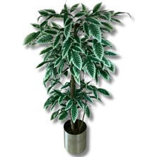 Cihan Çiçekçilik Yeşil Beyaz Yapay Ceviz Ağacı 180 Cm 30x30 Metal Saksı