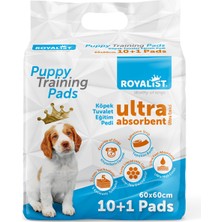 Royalist Köpek Pedi Royalıst 60*60CM 11 Adet