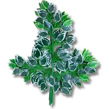 Cihan Çiçekçilik Yapay Çiçek Demet Ficus Dalı 12 Adet 65 Cm