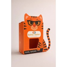 Katia & Bony 3D Kedi Desenli Çocuk Hediye Kutusu