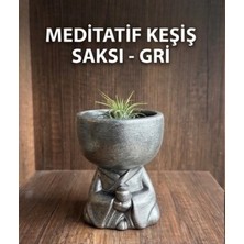 Dekoratif Kaktüs Skulent Saksısı