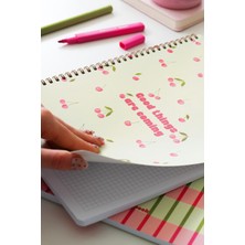 Matt Notebook A4 Spiralli Okul Defteri 80 Yaprak 2'li Set – Çizgili & Kareli