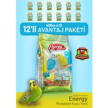 Bird Food Energy Muhabbet Kuşu Yemi 400 G - 12 Adet
