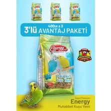 Bird Food Energy Muhabbet Kuşu Yemi 400 G - 3 Adet