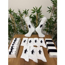 Aygan Store 7 Çift Viral Penguen Beyaz Spor Desenli Kolej Çoraplar Özel Hediyelik Kutusunda 7 Adet