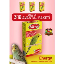 Bird Food Energy Kabuksuz Muhabbet Kuşu Yemi 400 G - 3 Adet