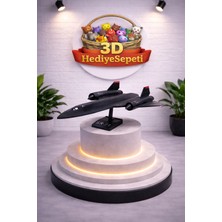 3D Hediye Sepeti Blackbird Uçak Maketi