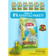 Bird Food Energy Muhabbet Kuşu Yemi 400 G - 6 Adet