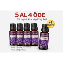 Harmoni Leylak Esansiyel Uçucu Koku 10ML Difüzör Esansı Buhurdanlık Yağı ve Oda Kokusu  5AL 4öde