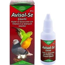 Biyoteknik Avisol-Se Kuşlar Için Vitamin E + Selenyum