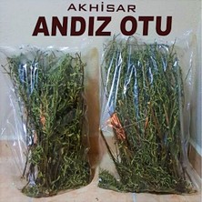 Akhisar Lokman Hekim Yapışkan Andız Otu Akhisar Dallı Yapraklı, Yapışkan, Hakiki, Doğal, Orjinal, Kendimiz Topluyoruz.