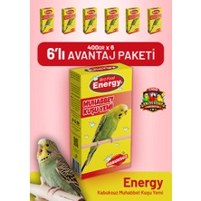 Bird Food Energy Kabuksuz Muhabbet Kuşu Yemi 400 G - 6 Adet