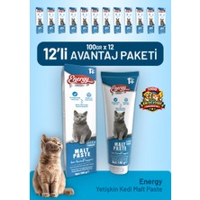 Cat food energy Yetişkin Kedi Malt Paste 100 G - 12 Adet