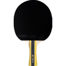 Delixa Sport 400 Ittf Onaylı Masa Tenisi Raketi