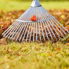 Delixa Metal Ayarlanabilir Bahçe Tarla Tırmık Peyzaj Yaprak Ot Saman Temizleme Toplama Tırmığı 1 Adet